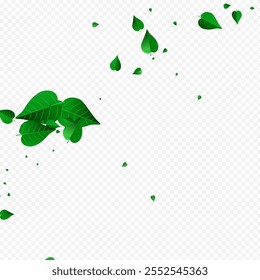 Swamp Greens Spring Vector Transparent Background Wallpaper. Falling Foliage Design. Olive Leaves Wind Banner. Leaf Organic Backdrop.