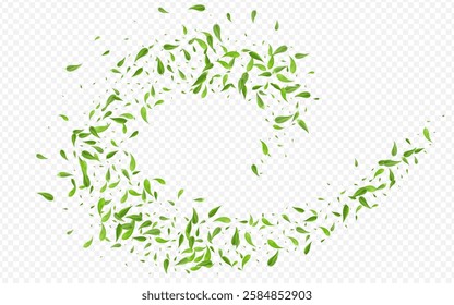 Swamp Greens Spring Vector Transparent Background Banner. Nature Leaf Template. Green Foliage Swirl Branch. Leaves Ecology Pattern.