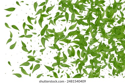 Swamp Greens Spring Vector White Background Concept. Swirl Leaf Poster. Grassy Leaves Ecology Template. Foliage Organic Border.