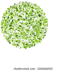 Swamp Greens Swirl Vector Concept. Tea Foliage Template. Lime Leaves Herbal Wallpaper. Leaf Abstract Illustration.
