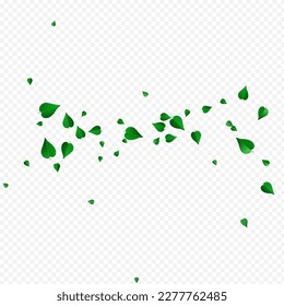 Swamp Greens Swirl Vector Transparent Background Illustration. Flying Foliage Backdrop. Forest Leaf Herbal Brochure. Leaves Nature Border.