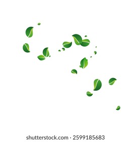Swamp Greens Swirl Vector White Background. Fly Leaves Concept. Grassy Leaf Wind Banner. Foliage Motion Design.