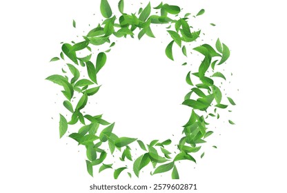 Swamp Greens Tea Vector White Background Template. Falling Foliage Wallpaper. Lime Leaves Motion Branch. Leaf Herbal Plant.