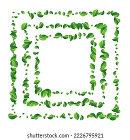 Swamp Greens Transparent Vector White Background. Ecology Leaf Branch. Forest Leaves Herbal Poster. Foliage Spring Pattern.