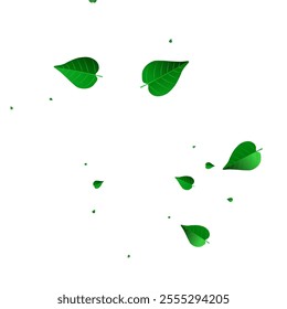 Swamp Greens Transparent Vector White Background Wallpaper. Blur Foliage Template. Olive Leaf Forest Banner. Leaves Swirl Illustration.