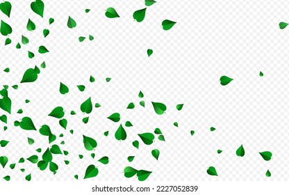 Swamp Greens Tree Vector Transparent Background Poster. Transparent Leaves Design. Green Leaf Ecology Plant. Foliage Spring Brochure.