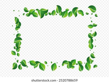 Swamp Greens Tree Vector Transparent Background. Realistic Leaf Branch. Green Leaves Motion Banner. Foliage Ecology Wallpaper.