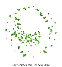 Sumpfgrün Wind Vektor weißer Hintergrund. Frühlingsfolien-Banner. Olive lässt realistisches Design. Blätter Ökologie Tapete.