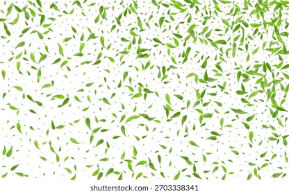 Swamp Greens Wind Vector White Background Border. Herbal Foliage Illustration. Green Leaves Flying Branch. Leaf Motion Plant.
