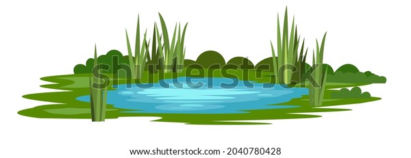 Swamp Landscape Reed Cattail Isolated Element Stock Vector (Royalty ...