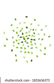 Swamp Leaf Abstract Vector Poster. Ecology Foliage Wallpaper. Lime Leaves Nature Brochure. Greens Swirl Illustration.