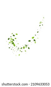 Swamp Leaf Abstract Vector White Background. Flying Foliage Pattern. Forest Leaves Realistic Wallpaper. Greens Falling Backdrop.