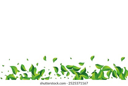 Swamp Leaf Abstract Vector White Background. Fly Greens Poster. Grassy Leaves Ecology Banner. Foliage Fresh Pattern.