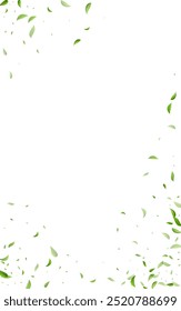 Diseño de fondo blanco de Vector de desenfoque de hoja de pantano. Concepto de follaje de primavera. Frontera de olivos verdes. Hojas de Fondo de pantalla Herbal.