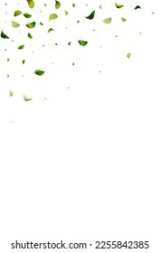Swamp Leaf Blur White Vector Background Pattern. Motion Foliage Plant. Forest Greens Transparent Illustration. Leaves Fresh Wallpaper.