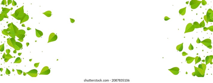 Swamp Leaf Ecology Vector Panoramic White Background Border. Swirl Foliage Illustration. Mint Greens Spring Branch. Leaves Fly Concept.