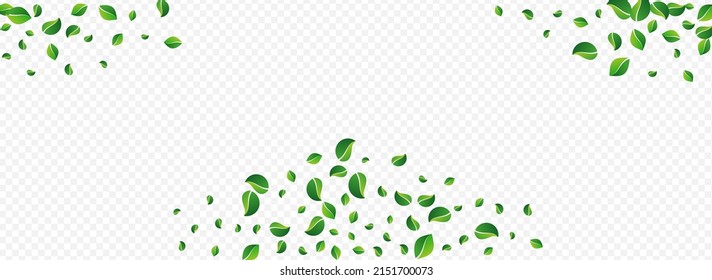 Swamp Leaf Ecology Vector Panoramic Transparent Background. Motion Foliage Border. Grassy Leaves Tea Plant. Greens Fly Pattern.