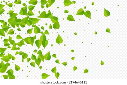 Swamp Leaf Ecology Vector Transparent Background Plant. Wind Greens Pattern. Lime Foliage Falling Template. Leaves Motion Brochure.