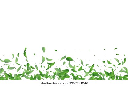 Swamp Leaf Falling Vector White Background Wallpaper. Ecology Greens Illustration. Green Leaves Realistic Backdrop. Foliage Fly Template.