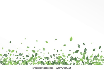 Swamp Leaf Falling Vector White Background Pattern. Realistic Foliage Design. Grassy Leaves Nature Illustration. Greenery Spring Template.