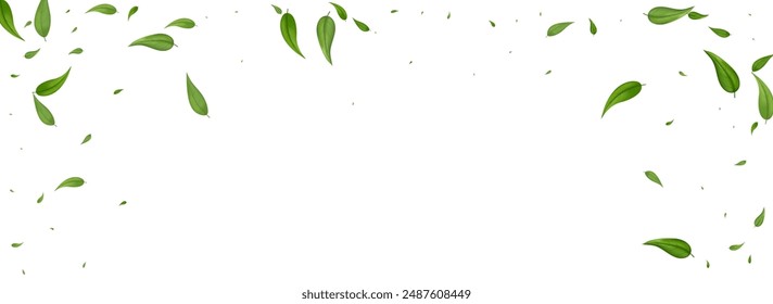 Swamp Leaf Fly Vector Panoramic White Background Backdrop. Spring Foliage Border. Grassy Leaves Falling Brochure. Greens Blur Plant.