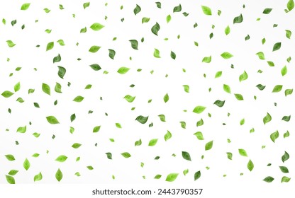 Swamp Leaf Fly Vector White Background Pattern. Forest Greenery Poster. Olive Leaves Wind Wallpaper. Foliage Blur Backdrop.