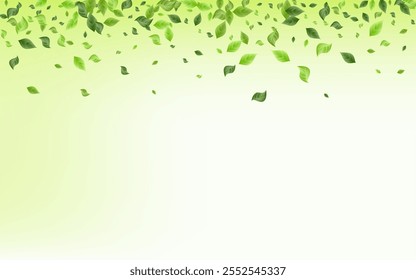 Swamp Leaf Flying Vector Green Background Plant. Tea Greenery Wallpaper. Grassy Foliage Wind Backdrop. Leaves Swirl Brochure.