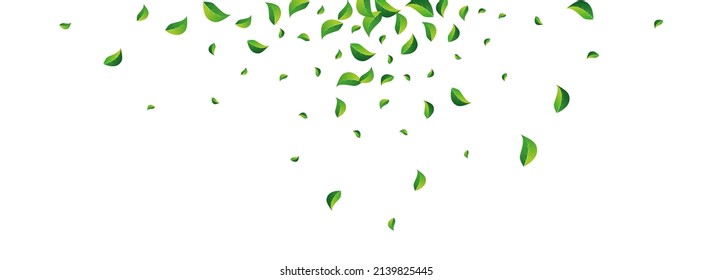 Swamp Leaf Flying Vector Panoramic White Background. Nature Foliage Wallpaper. Green Leaves Motion Template. Greens Ecology Branch.