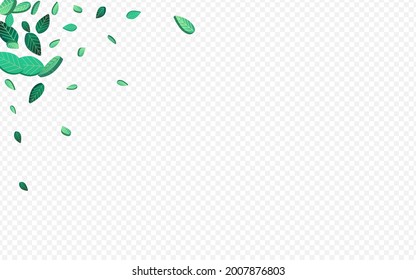 Swamp Leaf Flying Vector Transparent Background Poster. Spring Leaves Plant. Lime Greens Abstract Pattern. Foliage Transparent Backdrop.