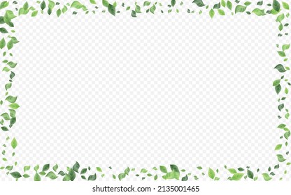 136,025 Forest transparent Images, Stock Photos & Vectors | Shutterstock