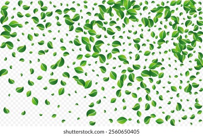 Swamp Leaf Forest Vector Transparent Background. Realistic Greens Banner. Forest Foliage Blur Concept. Leaves Wind Wallpaper.