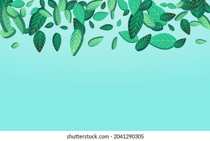 Swamp Leaf Fresh Vector Blue Background Poster. Abstract Leaves Background. Green Foliage Swirl Illustration. Greens Tree Plant.