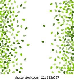 Swamp Leaf Fresh Vector Illustration. Fly Foliage Template. Grassy Greens Tree Concept. Leaves Motion Plant.