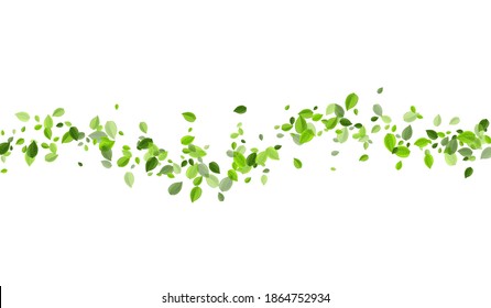 Swamp Leaf Fresh Vector Wallpaper. Swirl Greens Banner. Lime Leaves Spring Background. Foliage Nature Plant.