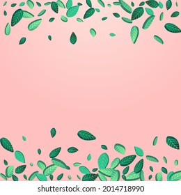 Swamp Leaf Herbal Vector Pink Background Brochure. Nature Leaves Concept. Forest Greens Falling Design. Foliage Fresh Plant.