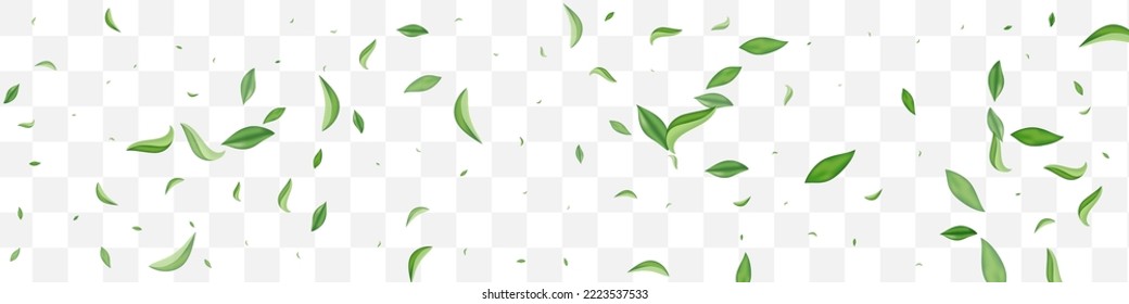 Swamp Leaf Herbal Vector Transparent Panoramic Background Banner. Blur Greens Backdrop. Olive Foliage Fly Brochure. Leaves Nature Plant.
