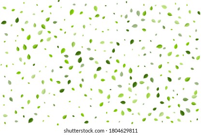 Swamp Leaf Motion Vector Border. Flying Leaves Illustration. Green Greens Ecology Banner. Foliage Wind Brochure.