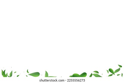 Swamp Leaf Nature Vector White Background Banner. Flying Leaves Concept. Lime Greens Realistic Design. Foliage Abstract Pattern.