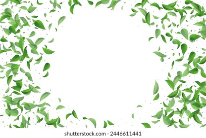Swamp Leaf Nature Vector White Background Branch. Motion Greens Design. Mint Foliage Fly Pattern. Leaves Abstract Illustration.