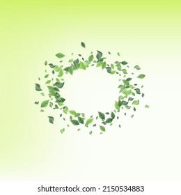 Swamp Leaf Organic Vector Green Background Concept. Wind Leaves Pattern. Forest Foliage Forest Banner. Greenery Abstract Illustration.