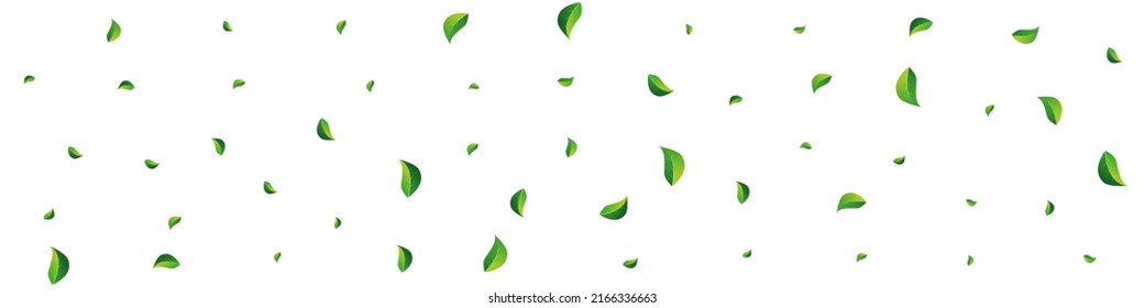 Vector Orgánico de la Hoja de pantano Fondo Panorámico Blanco. Rama De Foliage Realista. Lime Deja Desenfocado El Diseño. Folleto de los Verdes Volando.