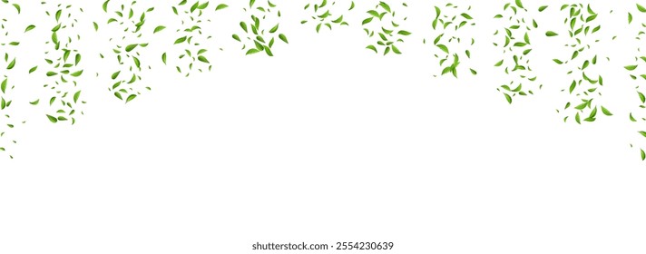 Swamp Leaf Organic Vector Panoramic White Background Design. Wind Foliage Branch. Forest Leaves Fly Wallpaper. Greens Flying Concept.