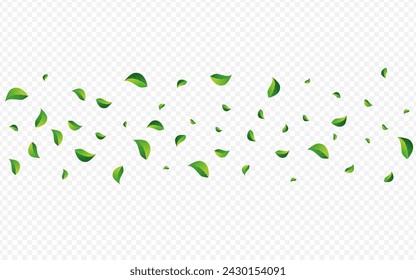 Swamp Leaf Organic Vector Transparent Background. Swirl Foliage Poster. Green Leaves Ecology Wallpaper. Greens Tea Brochure.