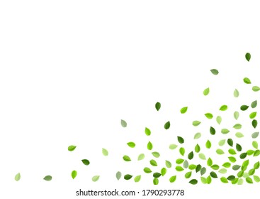 Swamp Leaf Realistic Vector Template. Falling Leaves Banner. Forest Foliage Motion Pattern. Greens Organic Concept.