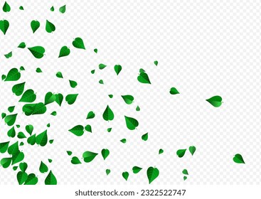 Swamp Leaf Realistic Vector Transparent Background Branch. Abstract Greens Illustration. Grassy Foliage Blur Design. Leaves Tea Border.