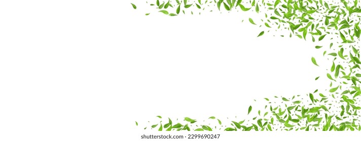 Swamp Leaf Spring Vector Panoramic White Background Brochure. Flying Leaves Design. Green Greens Blur Concept. Foliage Tree Banner.