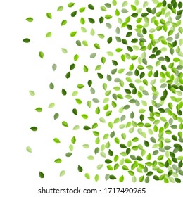 Swamp Leaf Tea Vector Poster. Motion Foliage Banner. Green Greens Falling Template. Leaves Fresh Illustration.