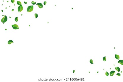 Swamp Leaf Tree Vector White Background. Flying Foliage Branch. Forest Leaves Wind Backdrop. Greens Herbal Plant.