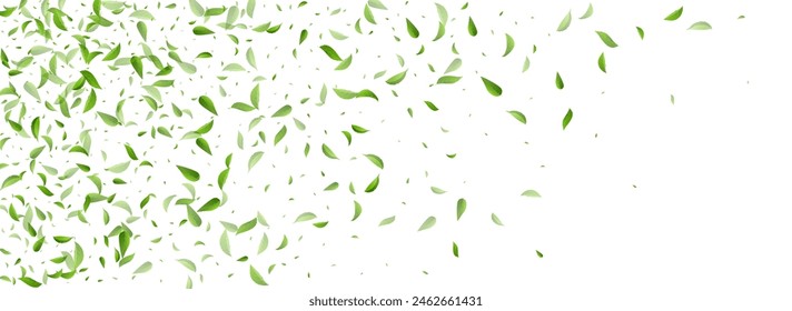 Swamp Leaf Wind Vector Panoramic White Background Brochure. Ecology Greens Poster. Grassy Foliage Abstract Backdrop. Leaves Swirl Design.