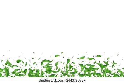 Swamp Leaf Wind Vector White Background Plant. Spring Leaves Branch. Mint Foliage Swirl Wallpaper. Greens Nature Backdrop.